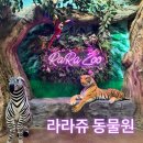 부산 실내 가볼만한 곳 부산 실내동물원 라라쥬동물원