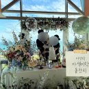 고고 268 | 기장 아난티 코브 자색미학 돌잔치 하객 후기 (스냅 사진 장소, 분위기, 음식, 메뉴, 시간 등)