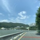 안청무궁화공원 이미지