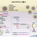 (주)테라젠이텍스 이미지