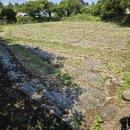 산양리경로당 이미지