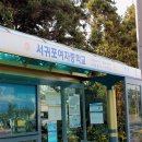 버스정류장 : 나무와중학교앞 이미지