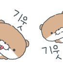 한반도뗏목마을 이미지
