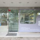 펫츠마트 | 창원 마산 펫츠올 동물병원 몇 년째 다니는 고양이 병원 추천 (솔직후기)