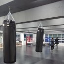 H 복싱짐 이미지