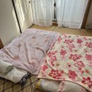 시골마루민박 이미지