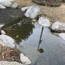 미추홀공원 다례원 | 송도쎄쎄쎄 겨울 야외 한옥스냅: 다래원(다례원) /미추홀공원 다래원 사전답사후기!