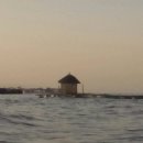 유강약국 이미지