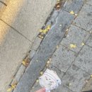 은우네간식 이미지