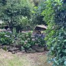 한림헬스타운 이미지