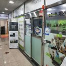 욜로골프 인 골프마데 이미지