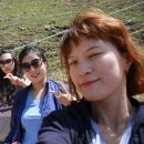 효선목장 이미지