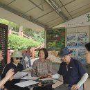예당스틸 | 2025년 7월 31일 충남도내 관광지 상황 점검 후기