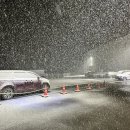 1급상용종합자동차 이미지