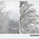양평 산음리 "포레스트펜션"의 겨울 눈 풍경 이미지