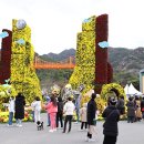 영암군 달빛축제 이미지