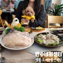 [인천 영흥도] 애견동반가능한 바다뷰횟집 :: 만수네회센터