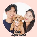 반려동물과 소중한 추억 기록하기 ͙ᐟ 관평동반려동물사진관 “스튜디오 모이모이”