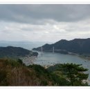 용두산 청과 Daum카페