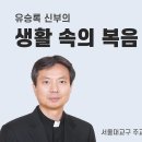 연중 제21주일 - 흔들리지 않는 믿음을 고백하기 위해선(유승록 신부) 이미지