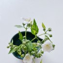 오에프디댄스학원 이미지