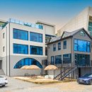 욜로하 스테이 이미지