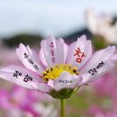 멋진하루 이미지