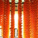 바구니농원 이미지