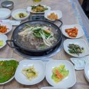 보성녹차떡갈비 보성녹돈 특미관 | 전남 보성 맛집에서 만나는 정통 녹차떡갈비, 특미관 방문 후기