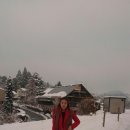 백조음식점 이미지