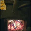 스테이써니 이미지