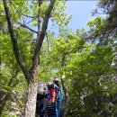 백마공원 이미지