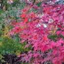 월악산 별장펜션 이미지