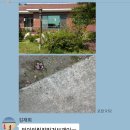 개미목장 이미지