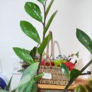 하임메디 | 포항마사지로 잔잔한 힐링이 필요한 날 찾은 강연정 메디 마사지 방문 후기