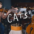 Memory 'Cats' (violin,cello&piano cover) 이미지