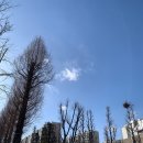 쌍둥이네분식 | 압구정 쌍둥이네 떡볶이 후기｜쌍둥네 분식 신사상가 17년 전통 맛집