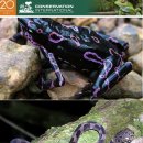 개구리PC 이미지