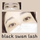 블랙스완래쉬 이미지