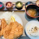백돈 이미지
