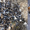 백토로1L 이미지