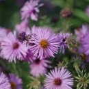 현대장식 이미지