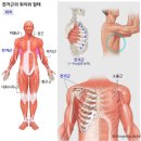 원퍼센트피트니스 이미지