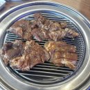 그린피그 이미지