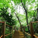 사라의 정원 이미지