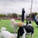 카페리브어스 이미지