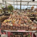 기쁨이네농장 이미지