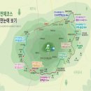 [출발확정] 1월29(일) 한라산 둘레길 완전 정복하기. 3박4일 - 2인1실 이미지