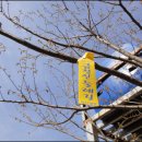 외송경로당 이미지