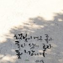 글씨여행 캘리그라피 이미지